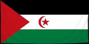 Флаг